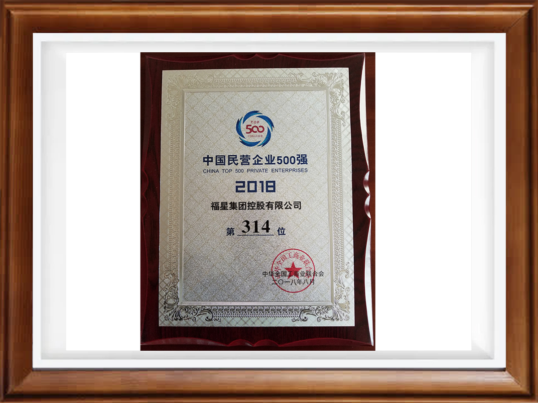 2018中国民营企业500强第314位