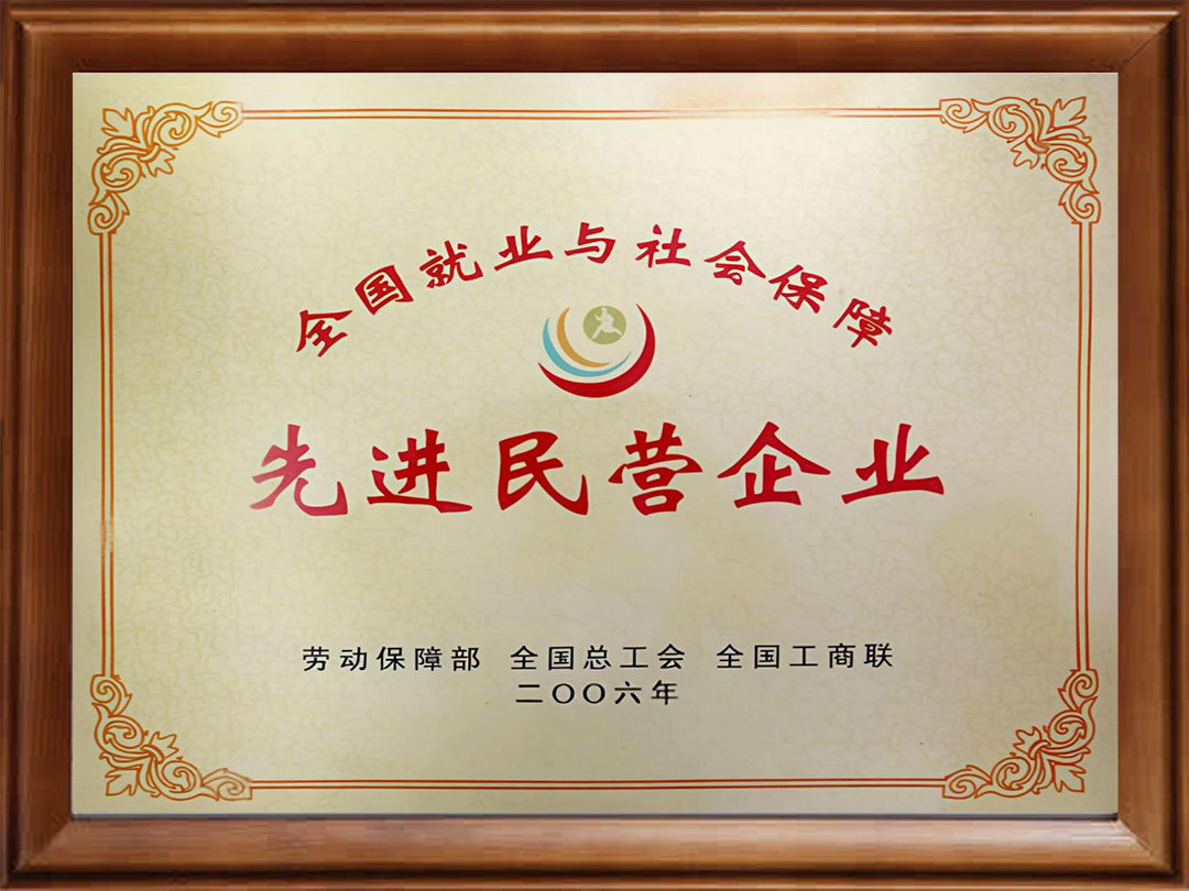 2006年先进民营企业