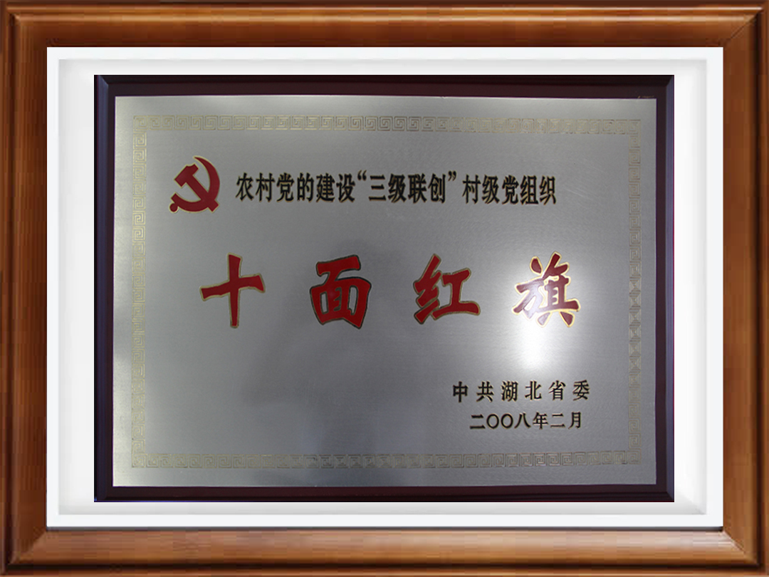 2008年度十面红旗