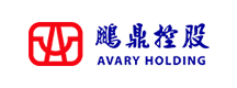 Pengding Holdings Pengding Holdings