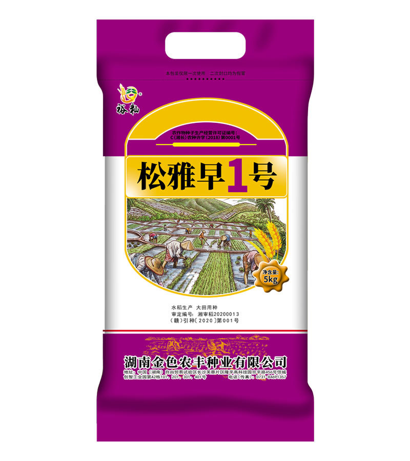 松雅早一號