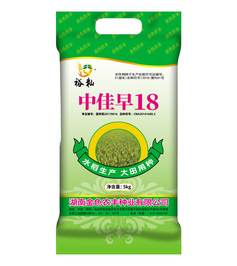 中佳早18