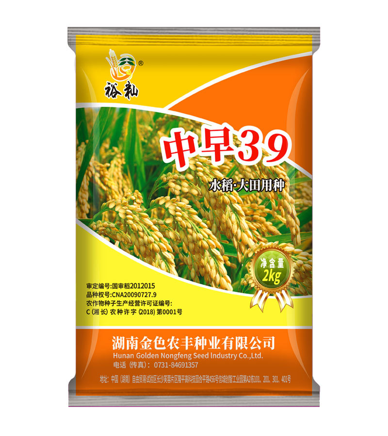中早39