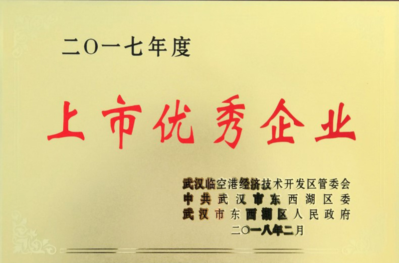 2017年度上市优秀企业 