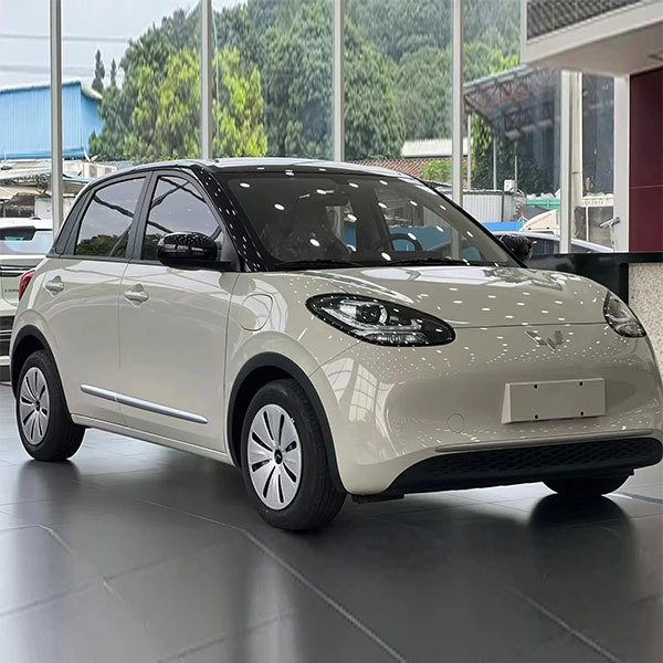 Wuling Binguo