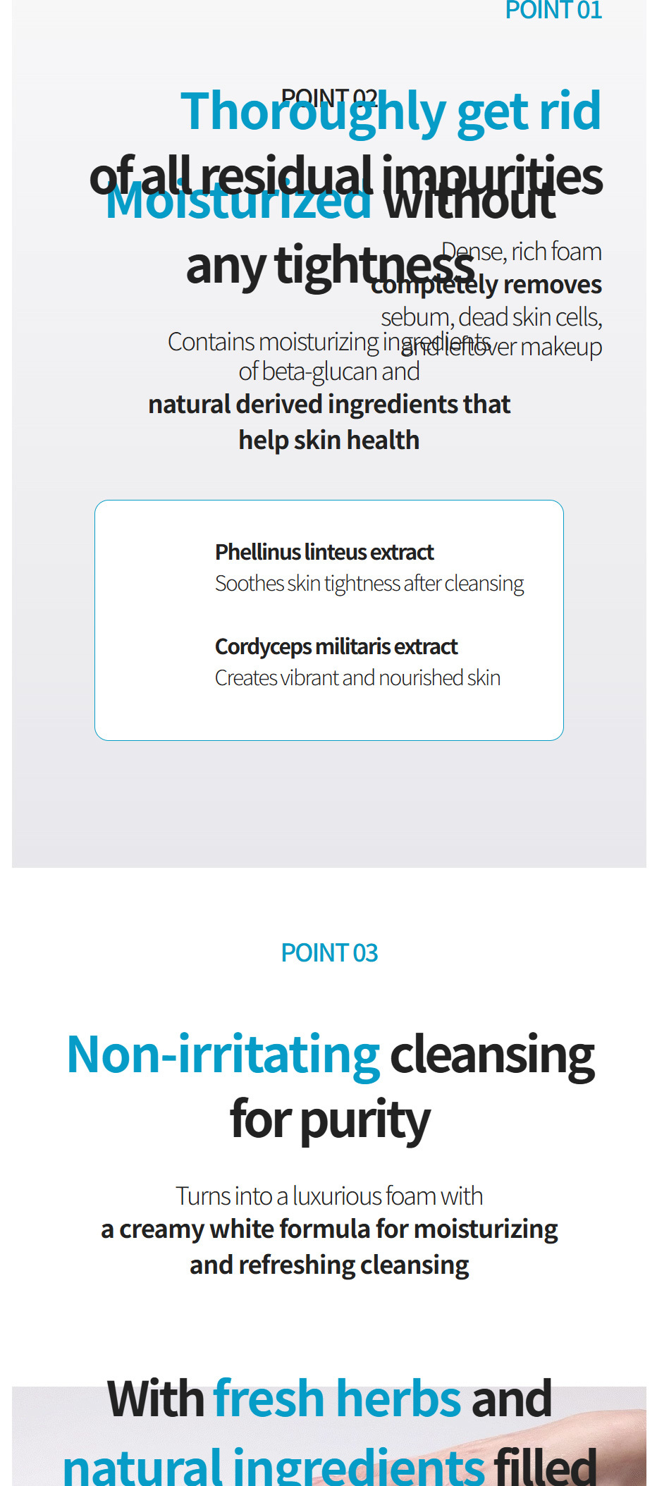 Foam Cleanser