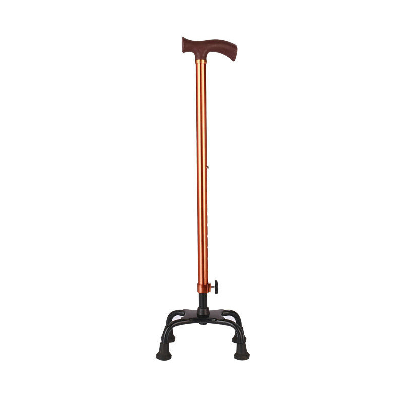 Cane
