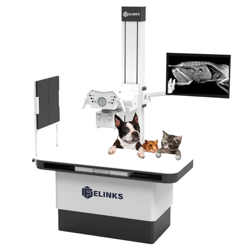 Understanding Veterinary X-ray Imaging Systems: A Comprehensive Guide