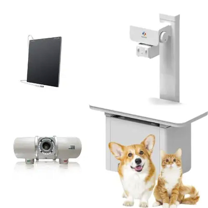 Revolutionizing Pet Care: The Benefits of a Digital Veterinary X-ray System