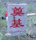 2004年