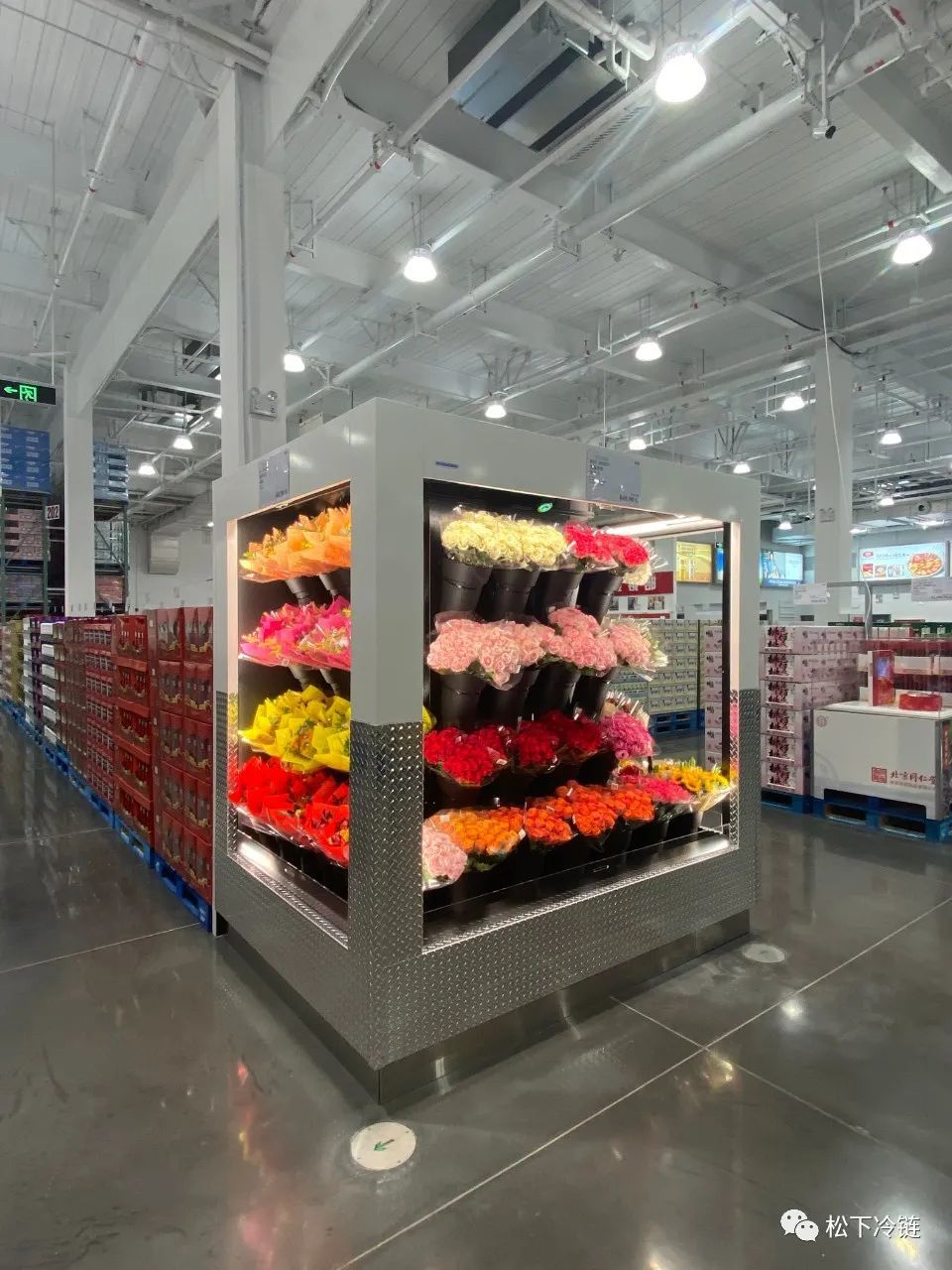  Panasonic Cold Chain (Dalian) Co., Ltd. 