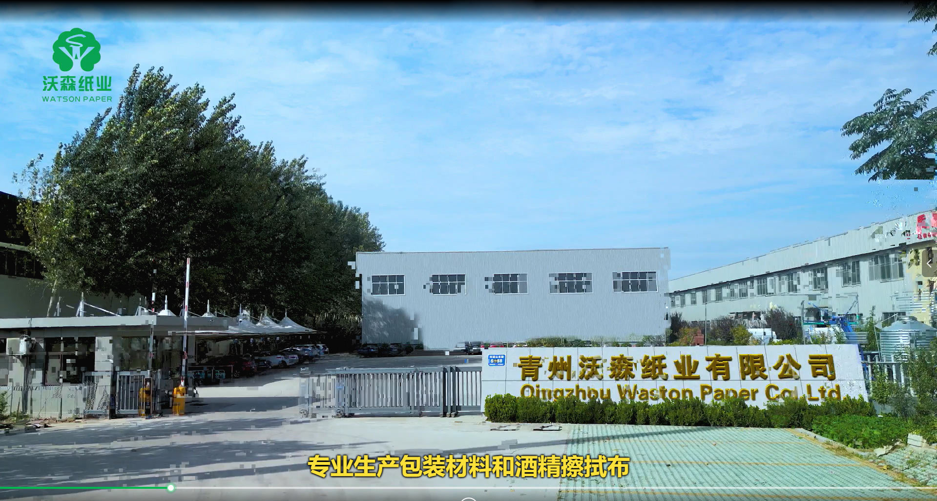 视频标题