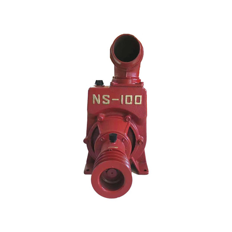NS-100 self-priming water pump
