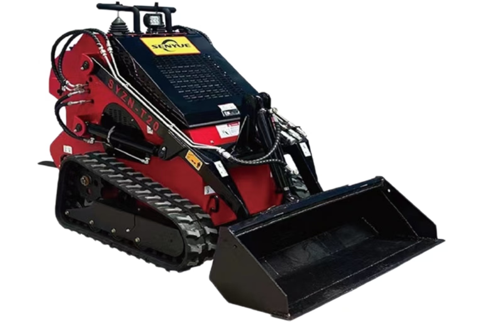SYZN-T20