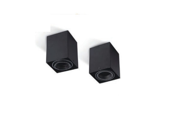 Surface mounted light