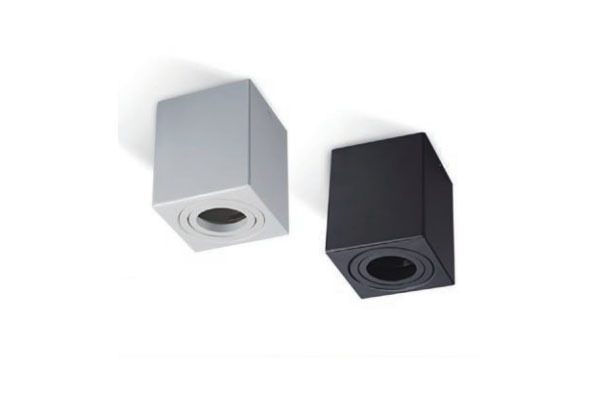 Surface mounted light