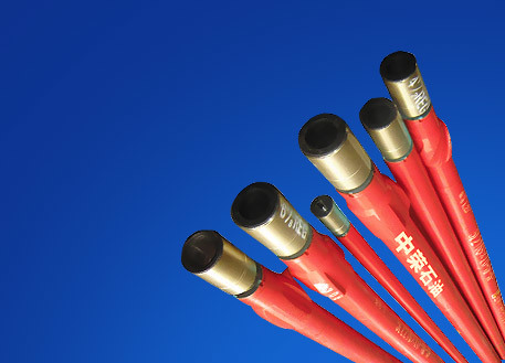 Downhole motor