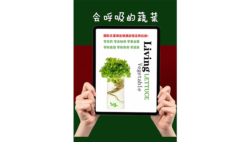 都市农业示范区