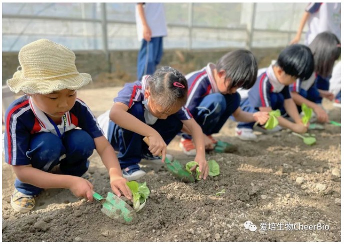 种菜给孩子带来的改变，居然这么大！