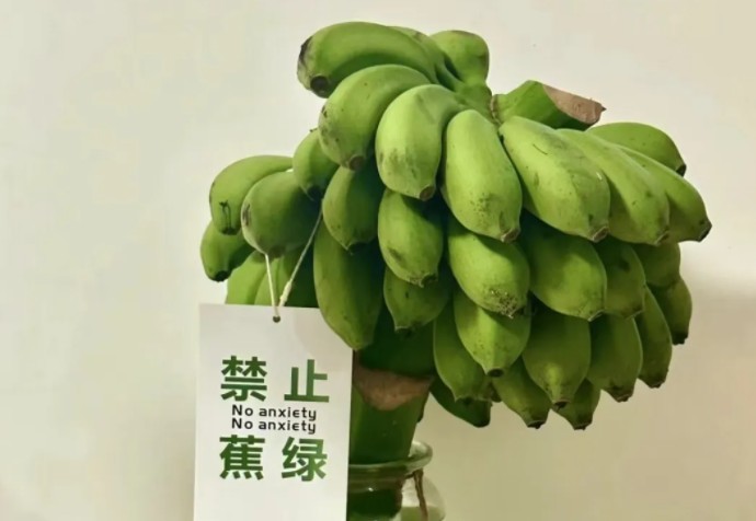 “悦己”体验，家庭植物工厂为你点缀生活小确幸