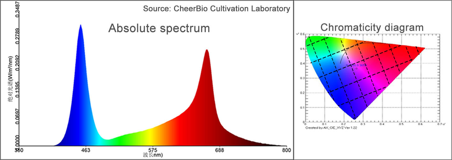Seedling spectrum Seedling spectrum