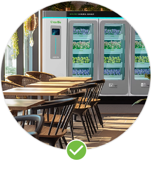 Light Meal Restaurant Light Meal Restaurant