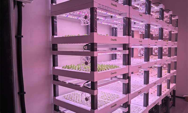 龙游植物工厂内部图