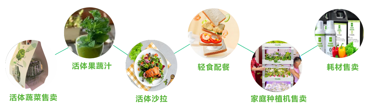 智慧劳动教育理念 智慧劳动教育理念