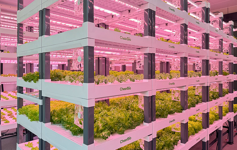 IndoorFarmX
