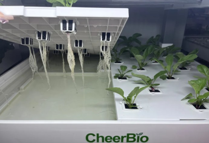 水培营养液如何Pick？看这篇指南就完了！