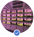Other Project Income