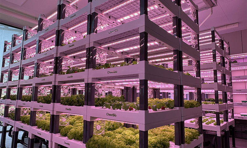 龙游植物工厂内部图