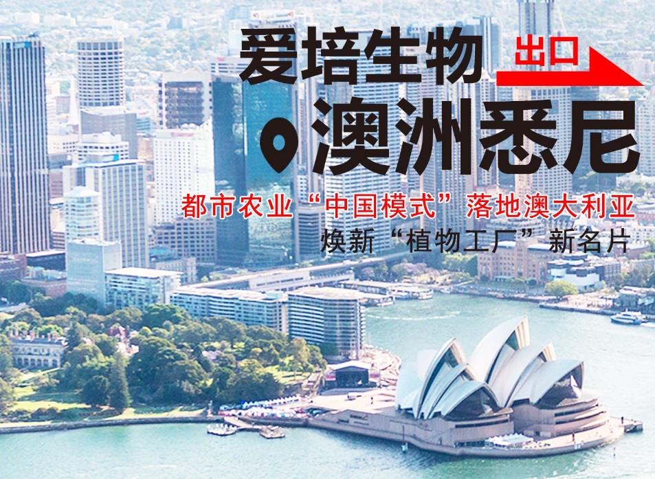 爱培生物出口澳洲 都市农业“中国模式”落地澳大利亚