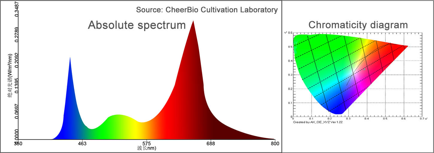 Strawberry spectrum Strawberry spectrum