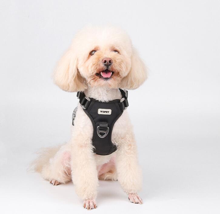 Dog Chest Harness P Rope Leash Set Teddy Small Dog Pet Chest Harness Hot Sale Dog Tactical Chest Harness OEM