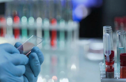 Probiotic Product Implementation Standards