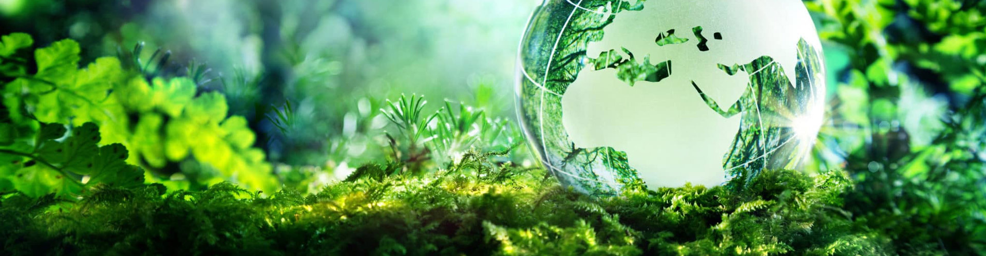 EXPLORE THE PATH OF PROBIOTICS