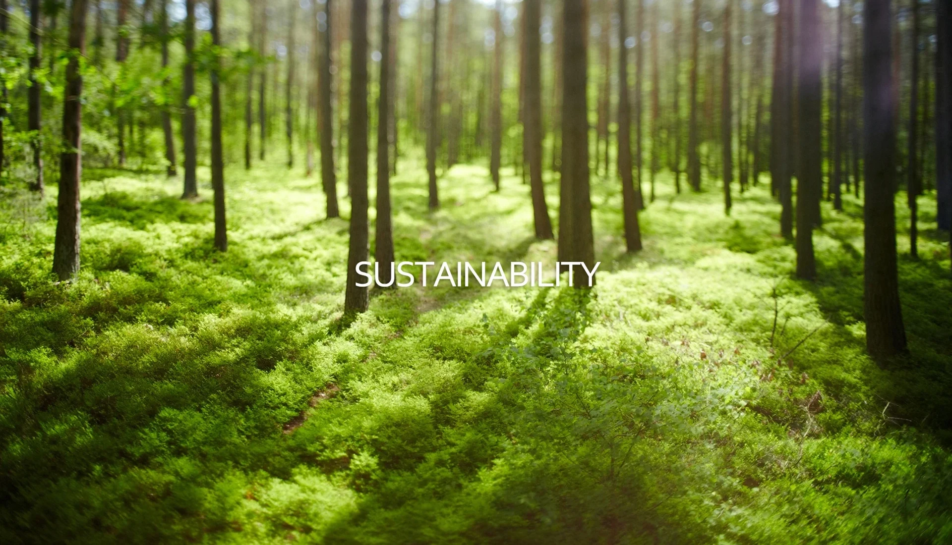 SUSTAINABILITY