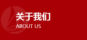 關(guān)于我們 關(guān)于我們