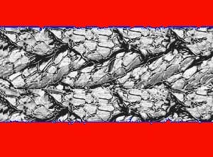 Nickel wire graphite packing outsourced