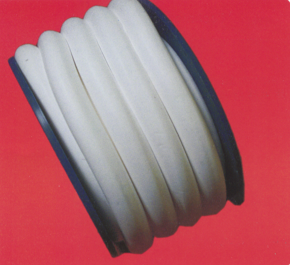 Expanded PTFE packing