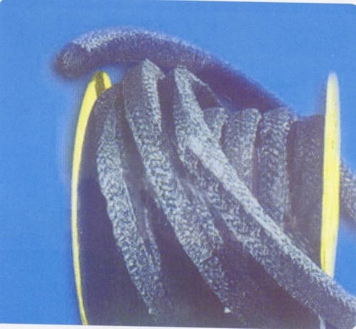 Graphite impregnated PTFE packing