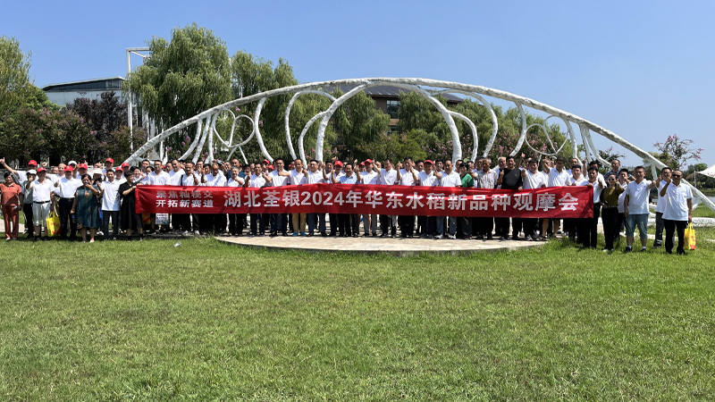 Hundreds of agents gathered in Anhui to observe new varieties