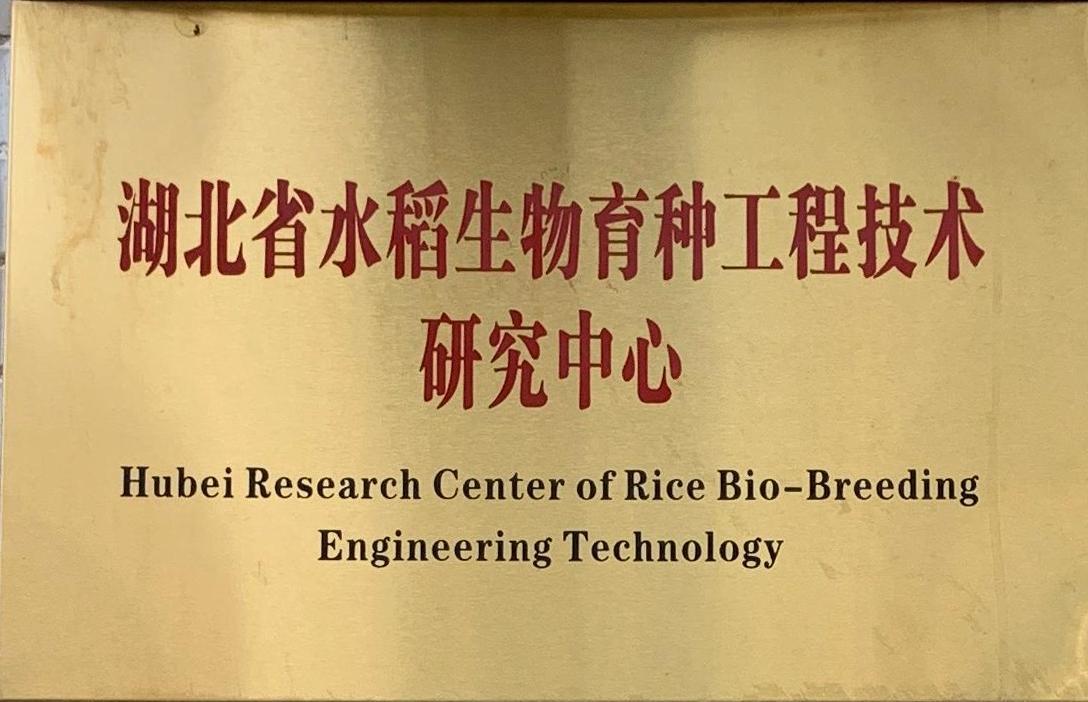 湖北省水稻生物育种工程技术