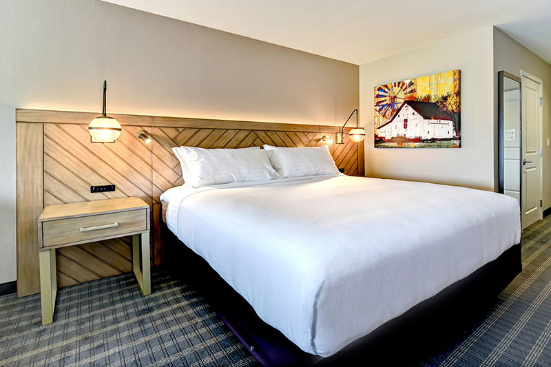 HOLIDAY INN 南帕