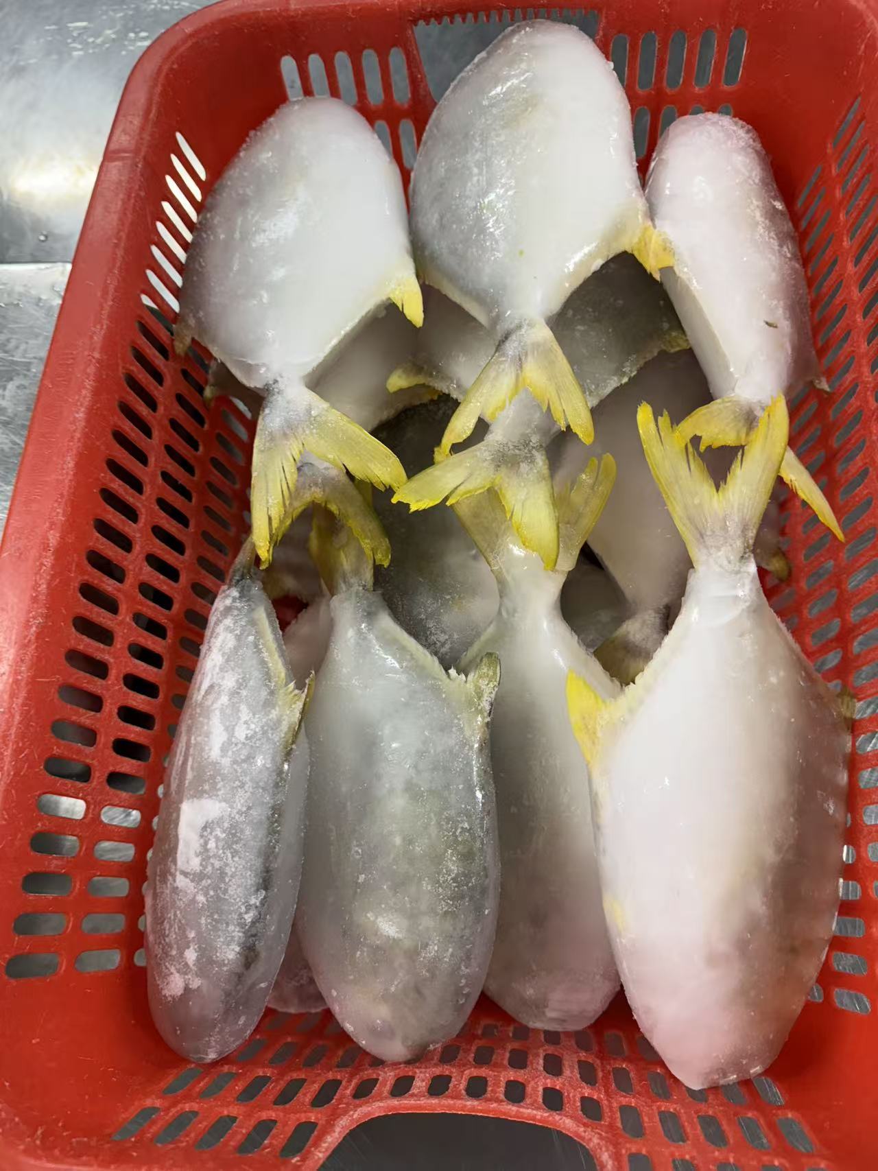 Cheap Frozen Seafood Fish Golden Pompano Exporter