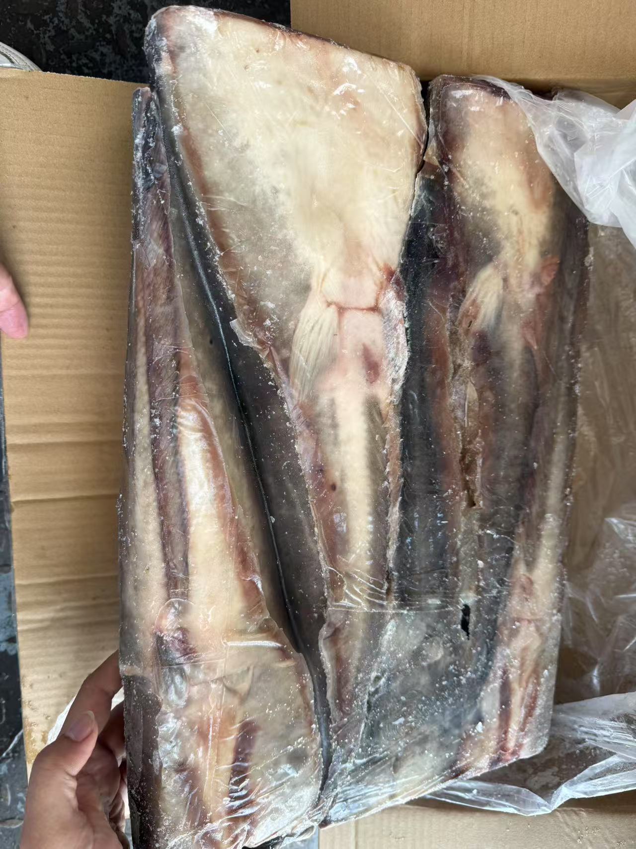 CATFISH HGT