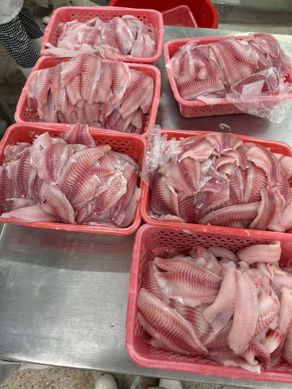All Size Frozen Tilapia Fillet. SKIN ON ,OFF