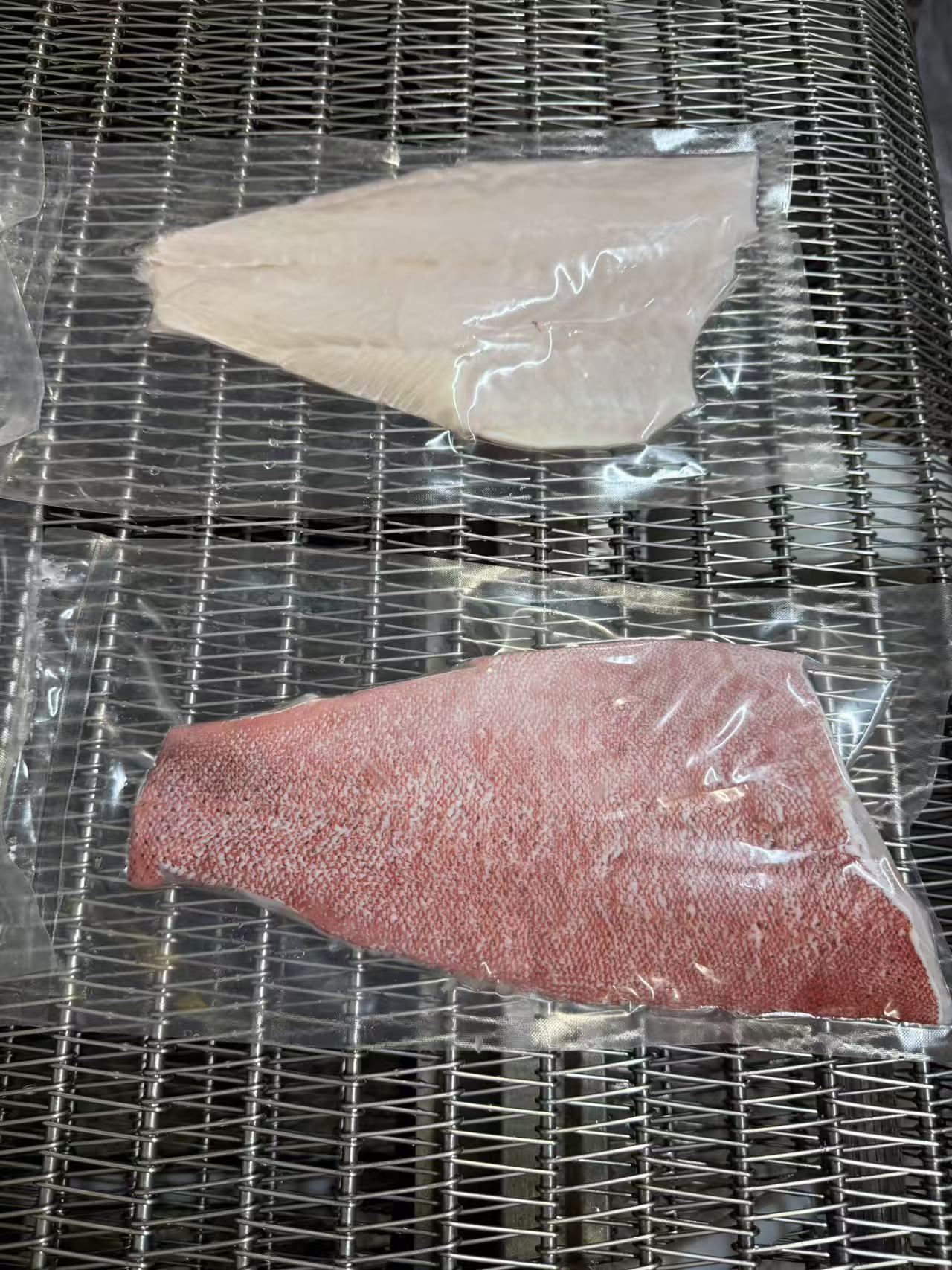 leopard coral grouper fillet