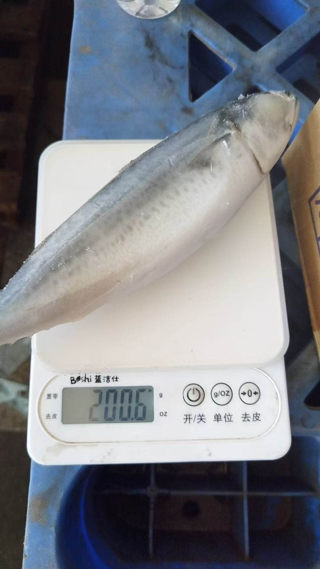 3-4ppk , pacific mackerel